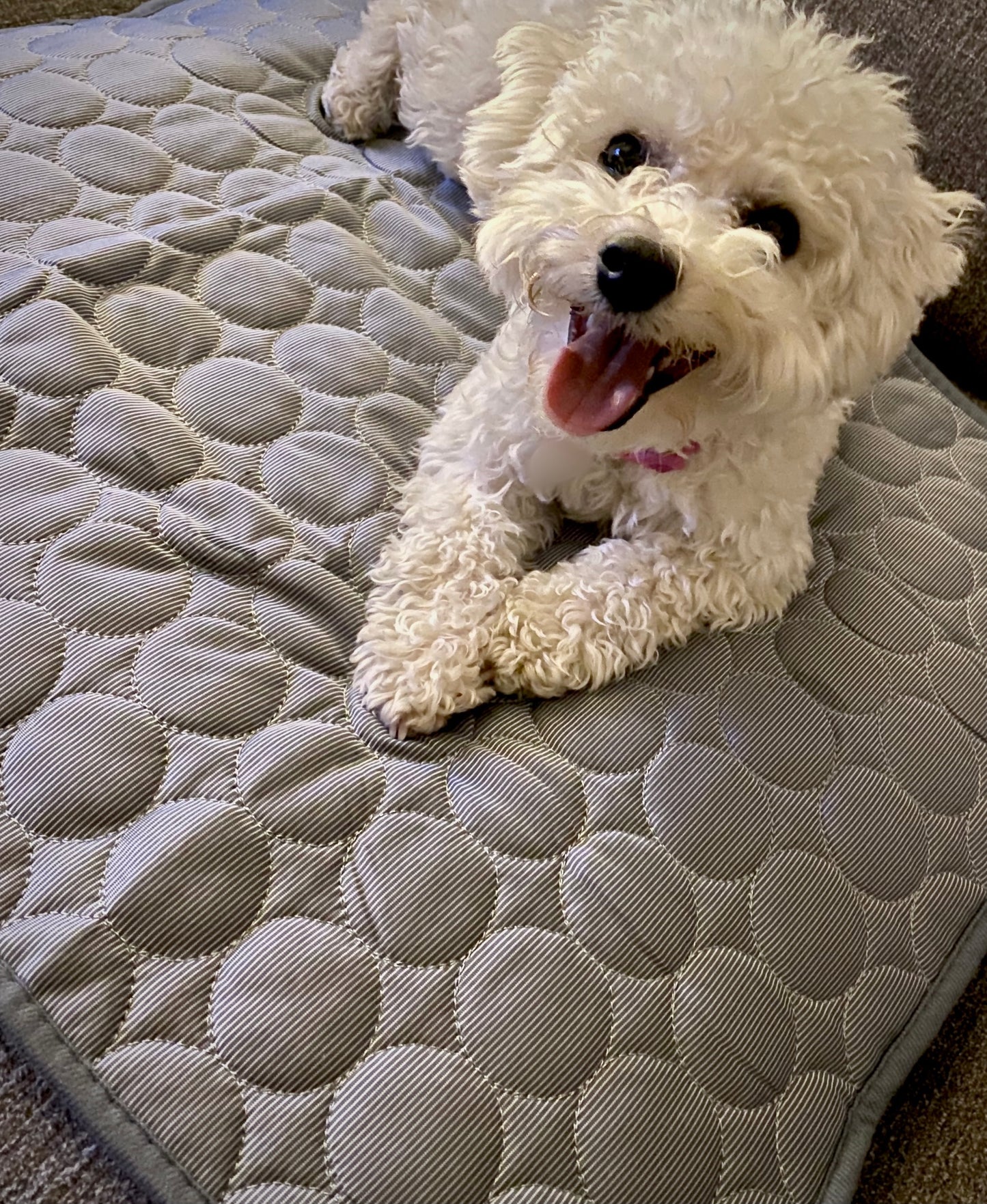 ProblemAway™ Cooling Mat for Dogs and Cats