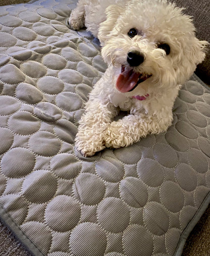 ProblemAway™ Cooling Mat for Dogs and Cats